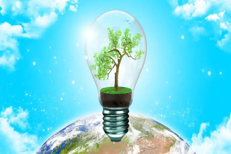 Earth-Minded Comforts Energy-Efficient Improvements That Pay Off 